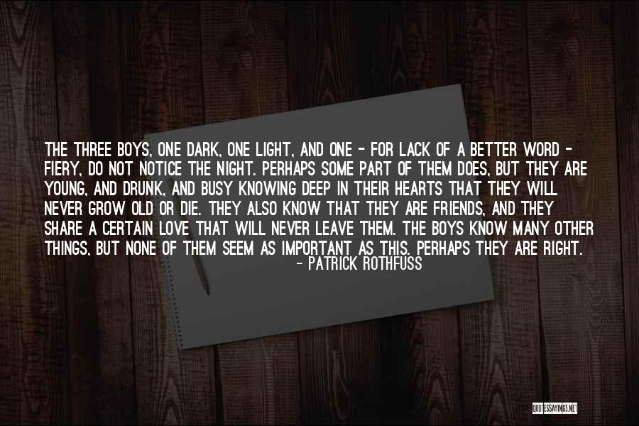 Deep Dark Love Quotes By Patrick Rothfuss