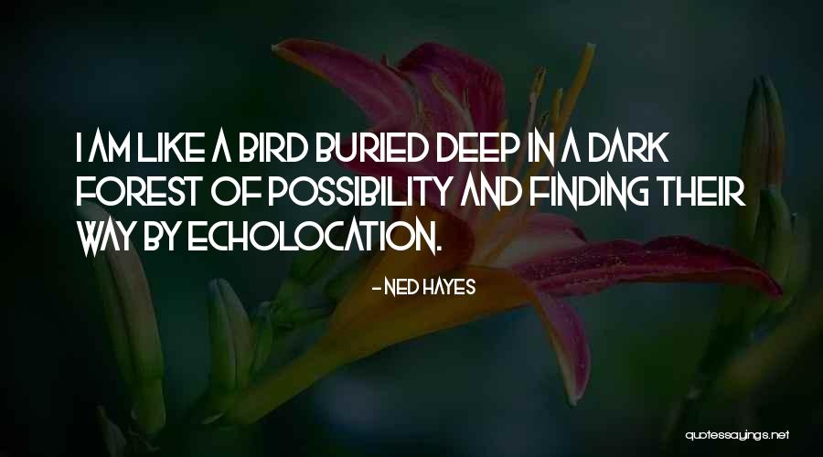 Deep Dark Quotes By Ned Hayes Deep Dark Quotes By Ned Hayes