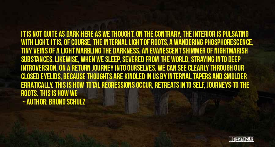 Deep Dark Thoughts Quotes By Bruno Schulz