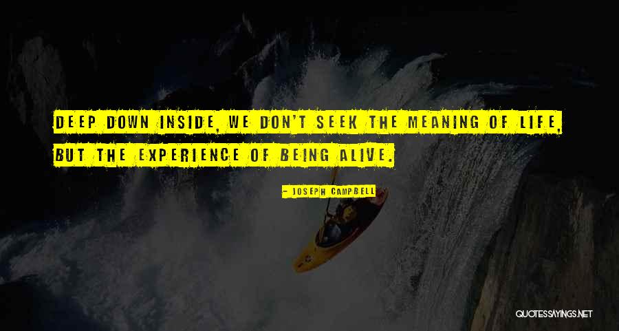 Deep Down Inside Quotes By Joseph Campbell Deep Down Inside Quotes By Joseph Campbell