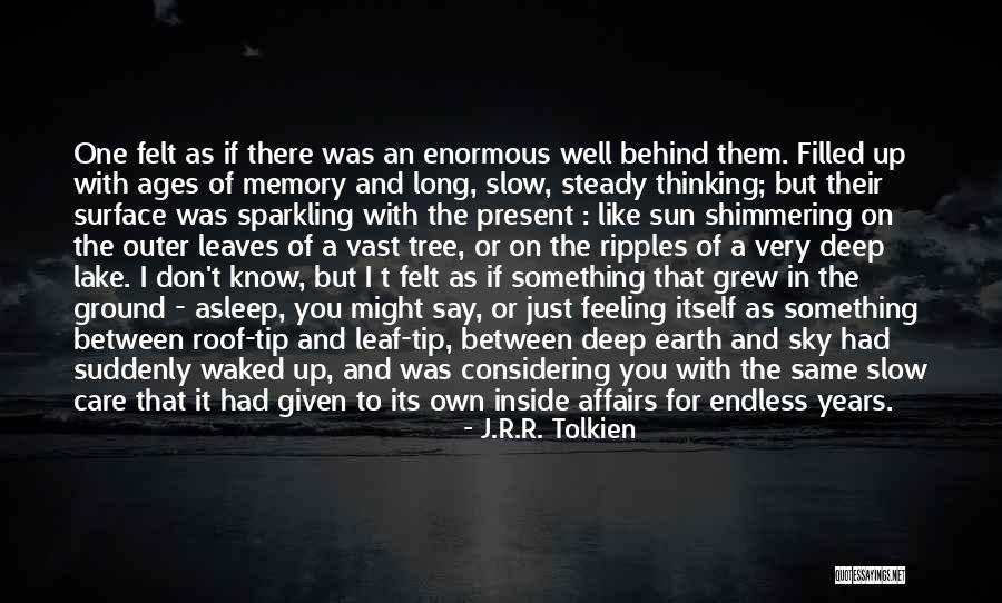 Deep Endless Quotes By J.R.R. Tolkien