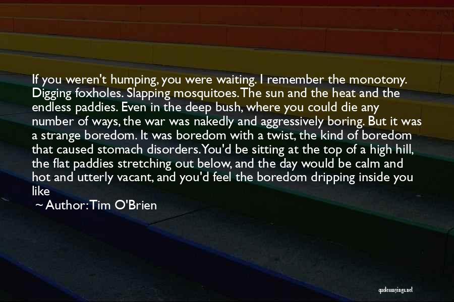 Deep Endless Quotes By Tim O'Brien