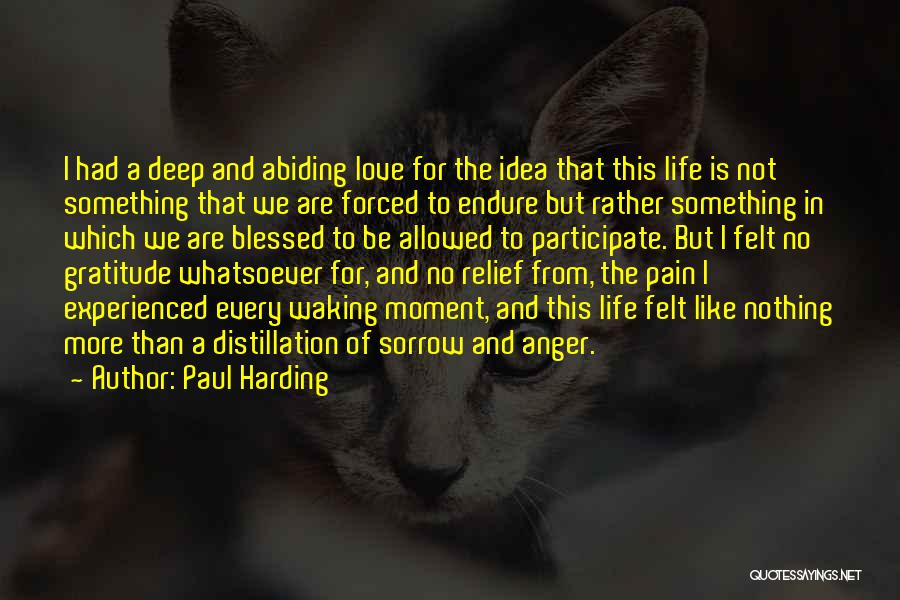 Deep Felt Love Quotes By Paul Harding