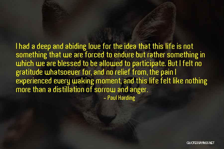Deep Felt Love Quotes By Paul Harding Deep Felt Love Quotes By Paul Harding