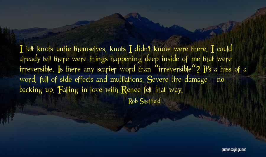 Deep Felt Love Quotes By Rob Sheffield