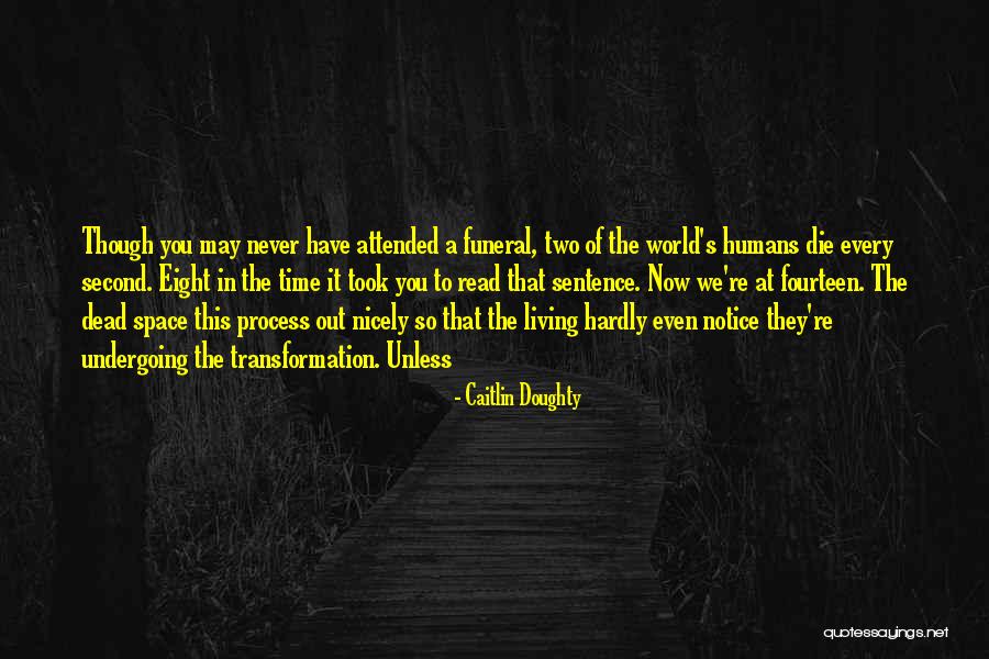 Deep Futurama Quotes By Caitlin Doughty Deep Futurama Quotes By Caitlin Doughty