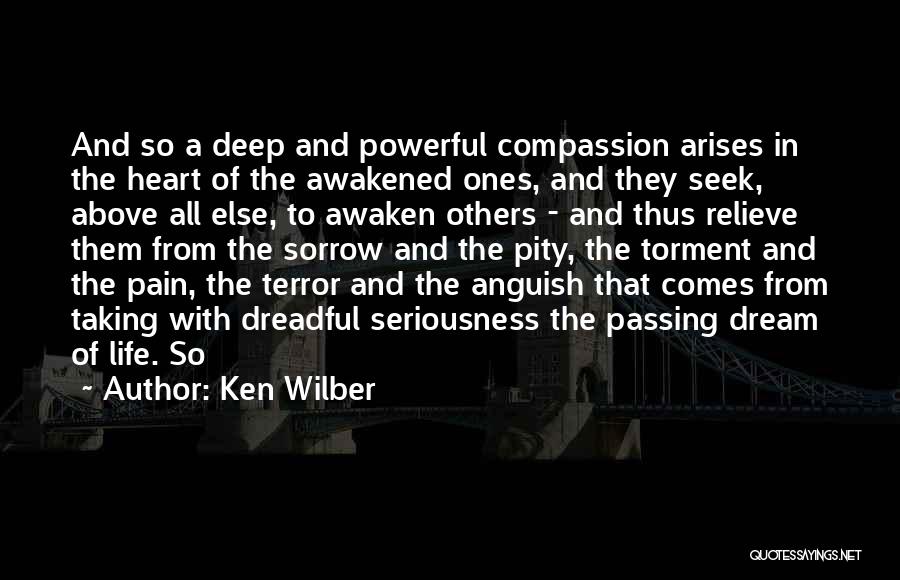 Deep Heart Pain Quotes By Ken Wilber