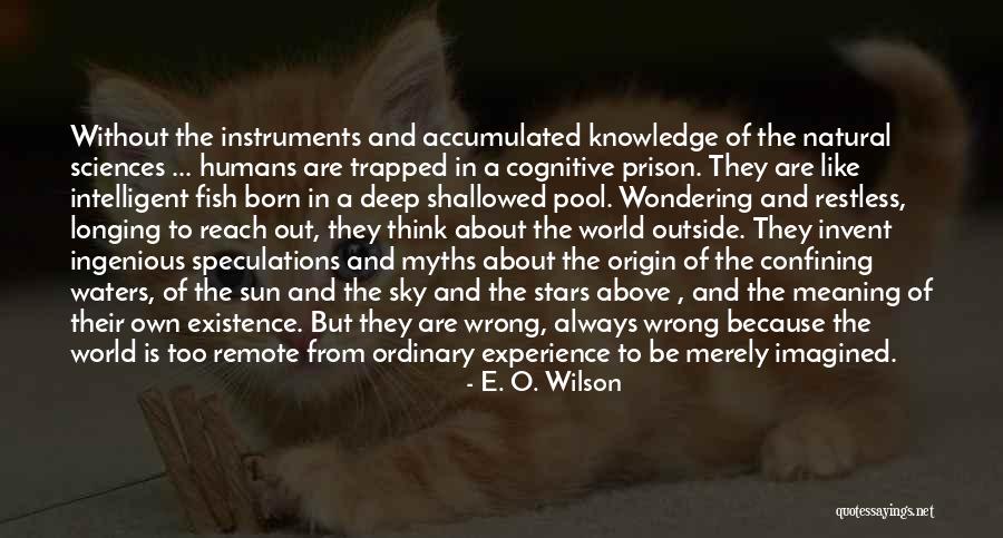 Deep In Meaning Quotes By E. O. Wilson