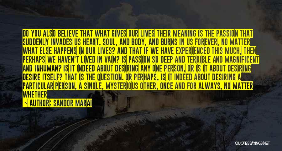 Deep In Meaning Quotes By Sandor Marai