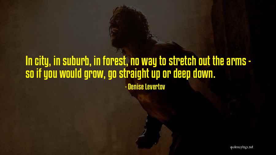 Deep In The Forest Quotes By Denise Levertov Deep In The Forest Quotes By Denise Levertov