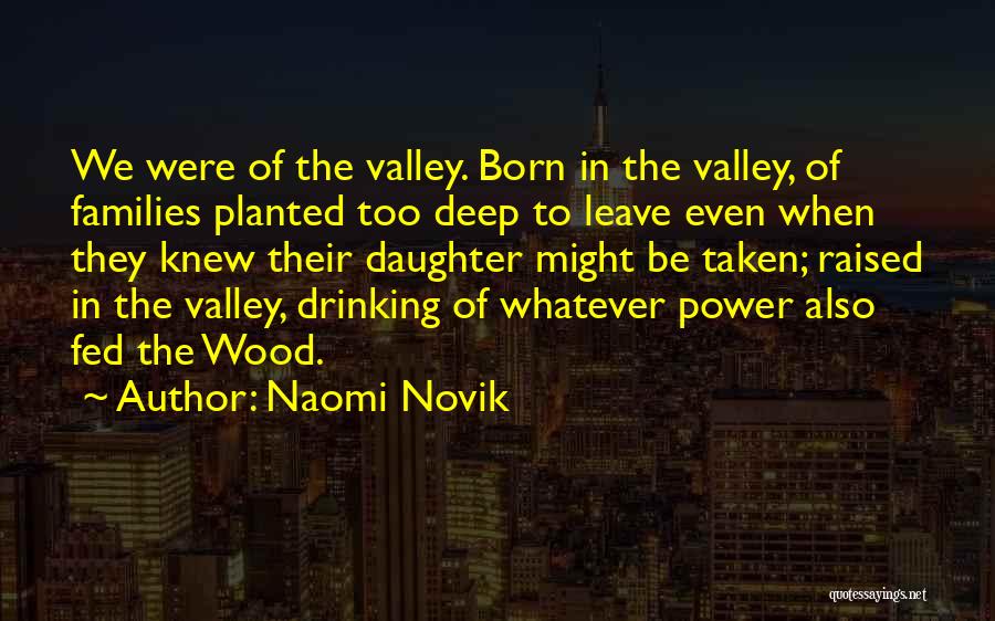 Deep In The Valley Quotes By Naomi Novik