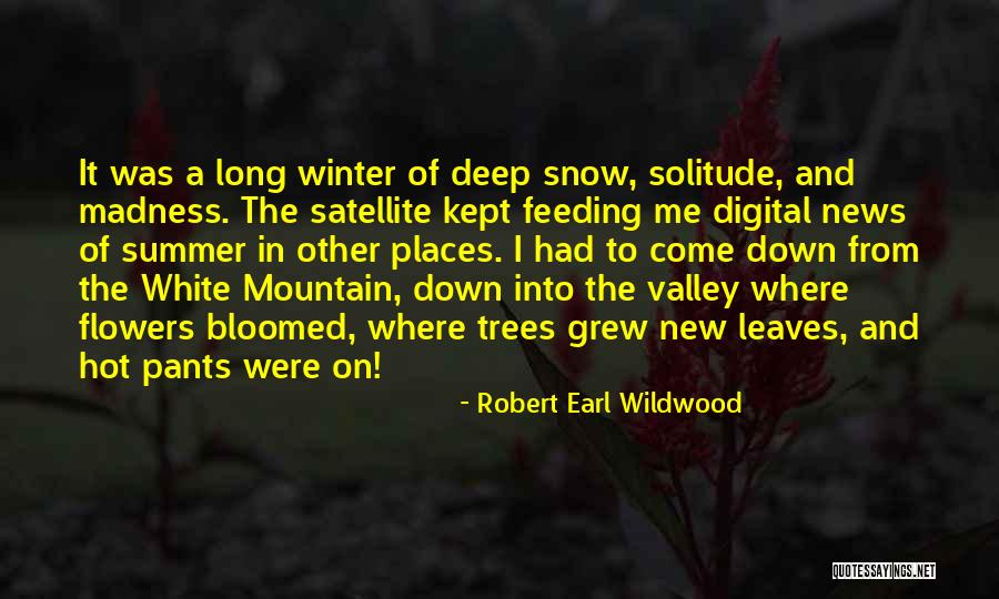 Deep In The Valley Quotes By Robert Earl Wildwood