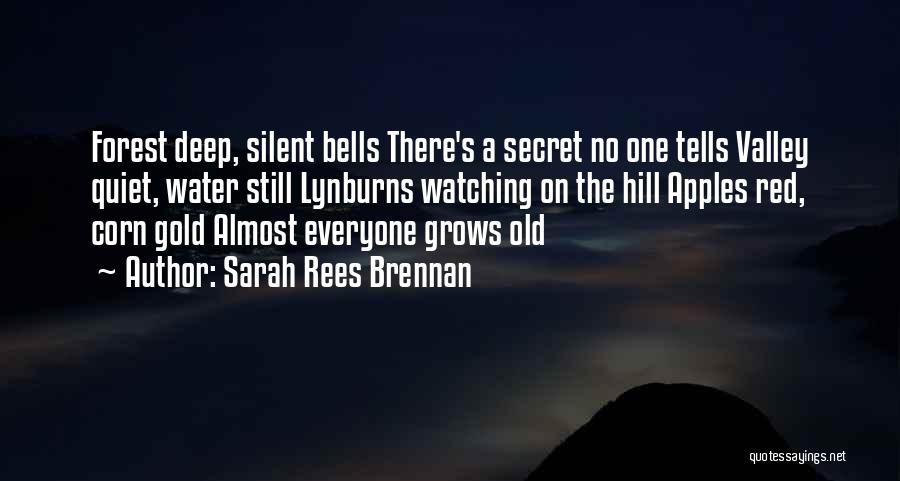 Deep In The Valley Quotes By Sarah Rees Brennan