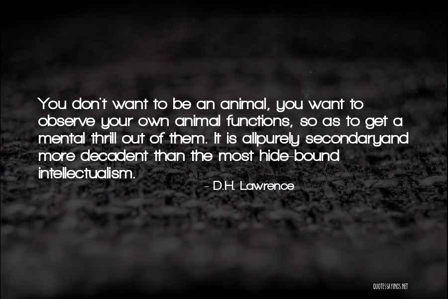 Deep Lines By John Eliya Quotes By D.H. Lawrence Deep Lines By John Eliya Quotes By D.H. Lawrence