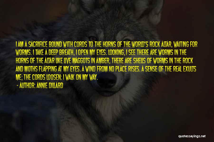 Deep Looking Eyes Quotes By Annie Dillard