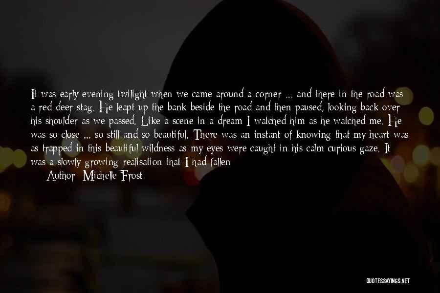 Deep Looking Eyes Quotes By Michelle Frost