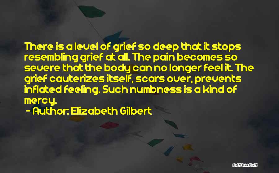 Deep Pain Quotes By Elizabeth Gilbert
