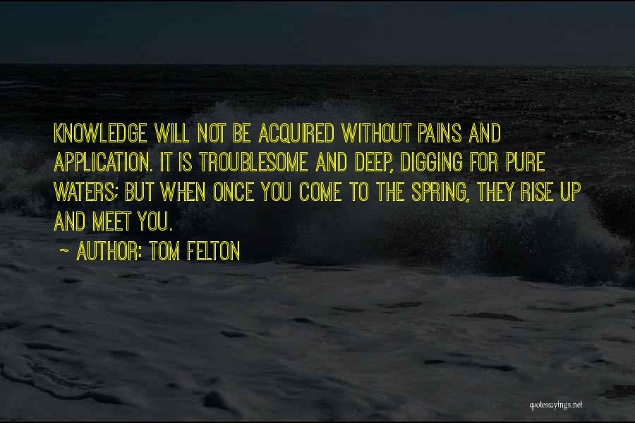 Deep Pain Quotes By Tom Felton