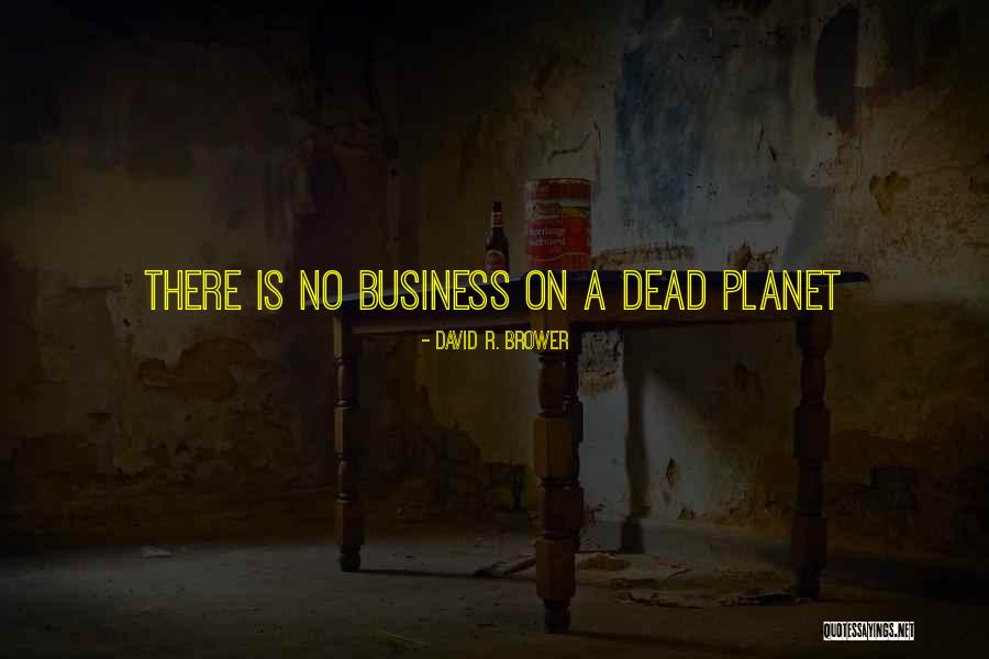 Deep Peer E Kamil Quotes By David R. Brower Deep Peer E Kamil Quotes By David R. Brower