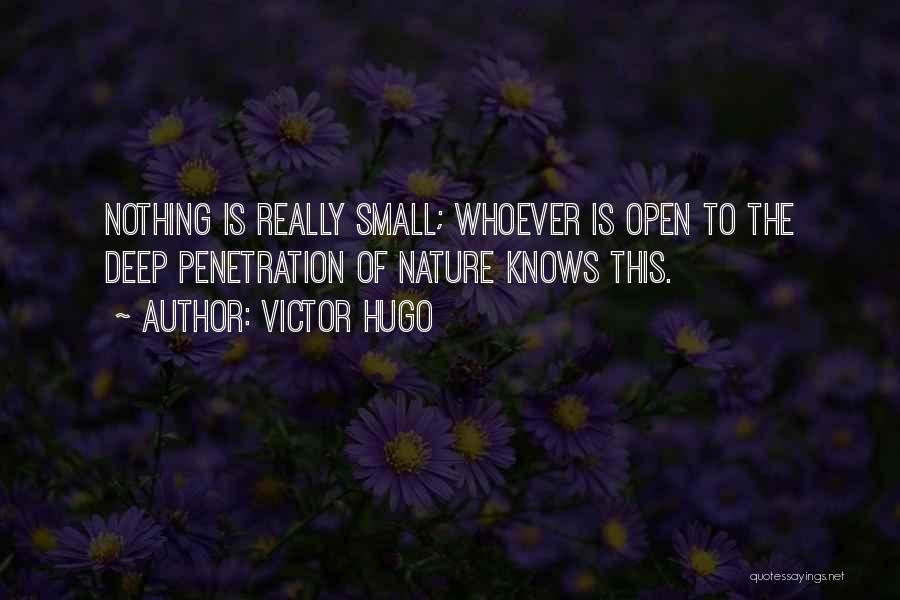 Deep Penetration Quotes By Victor Hugo