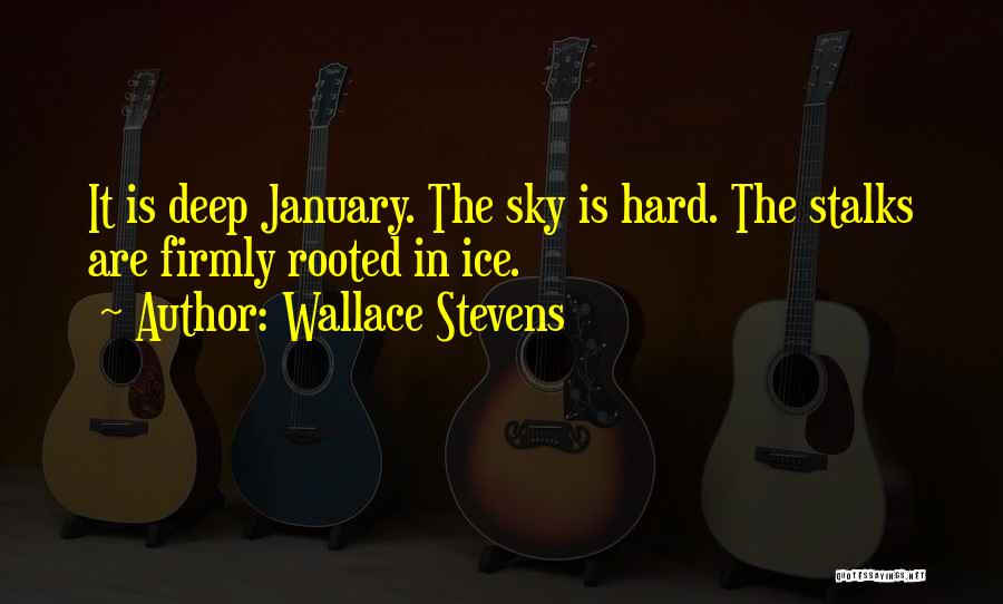 Deep Rooted Quotes By Wallace Stevens