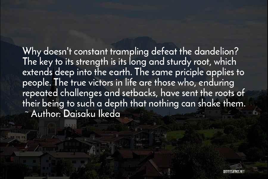 Deep Roots Quotes By Daisaku Ikeda