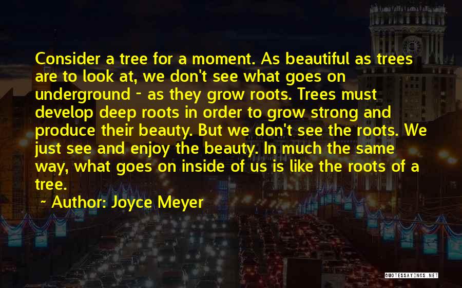 Deep Roots Quotes By Joyce Meyer