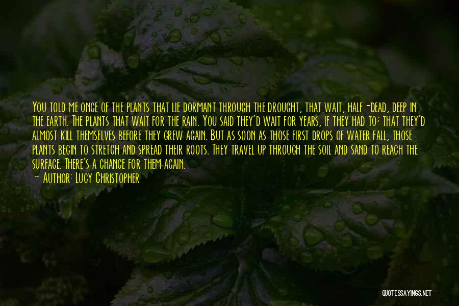 Deep Roots Quotes By Lucy Christopher