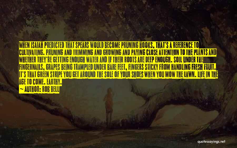 Deep Roots Quotes By Rob Bell