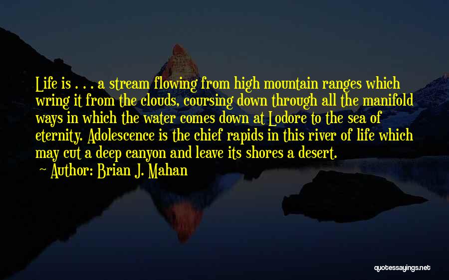 Deep Sea Water Quotes By Brian J. Mahan