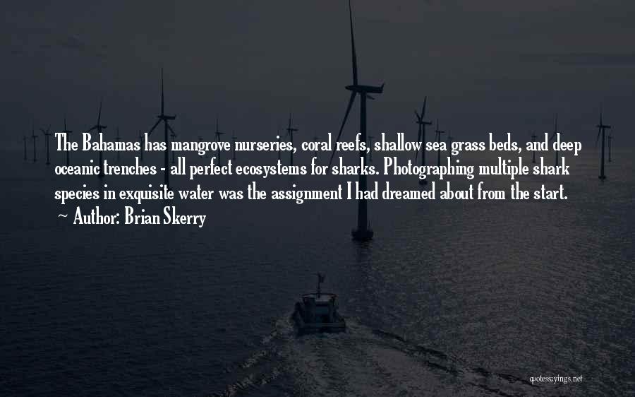 Deep Sea Water Quotes By Brian Skerry