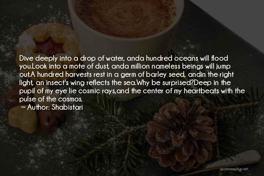 Deep Sea Water Quotes By Shabistari