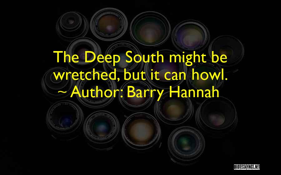 Deep South Quotes By Barry Hannah