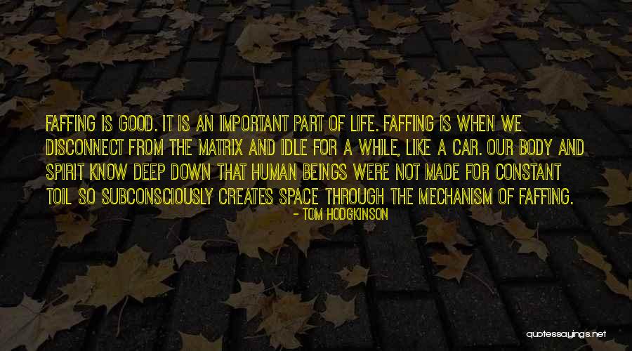 Deep Space Quotes By Tom Hodgkinson