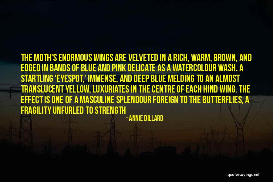 Deep Strength Quotes By Annie Dillard Deep Strength Quotes By Annie Dillard