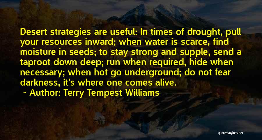 Deep Underground Quotes By Terry Tempest Williams