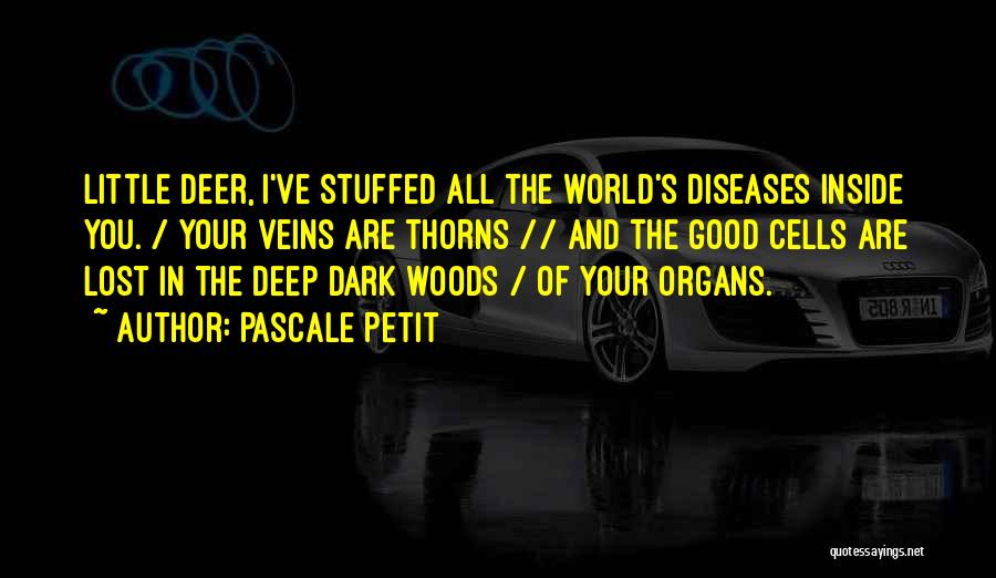 Deep Water Quotes By Pascale Petit