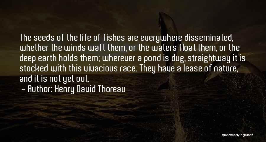 Deep Waters Quotes By Henry David Thoreau