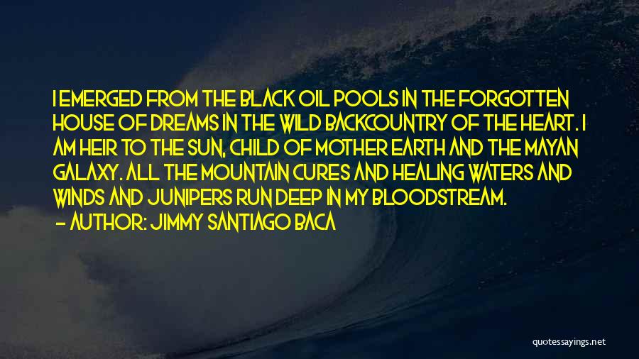 Deep Waters Quotes By Jimmy Santiago Baca