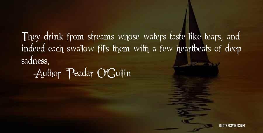 Deep Waters Quotes By Peadar O'Guilin