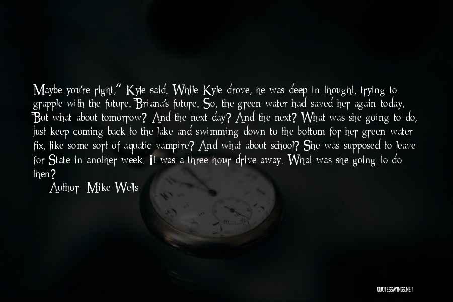 Deep Wells Quotes By Mike Wells