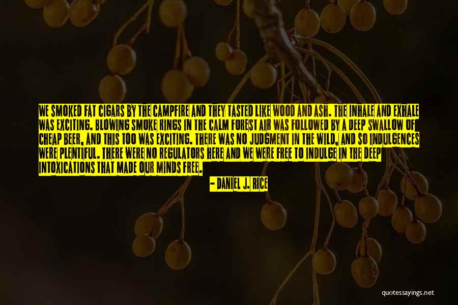 Deep Wood Quotes By Daniel J. Rice Deep Wood Quotes By Daniel J. Rice