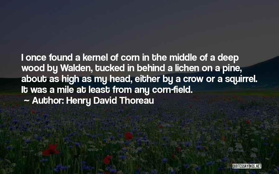 Deep Wood Quotes By Henry David Thoreau