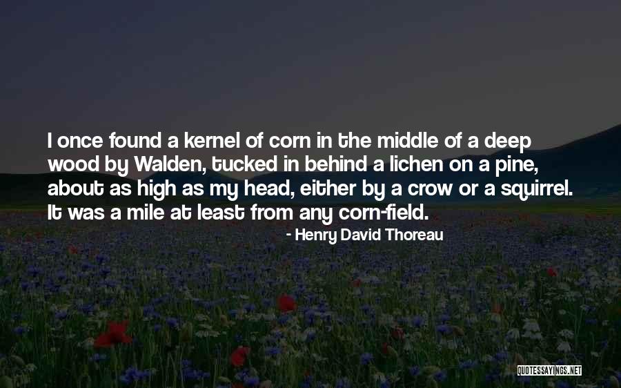 Deep Wood Quotes By Henry David Thoreau Deep Wood Quotes By Henry David Thoreau