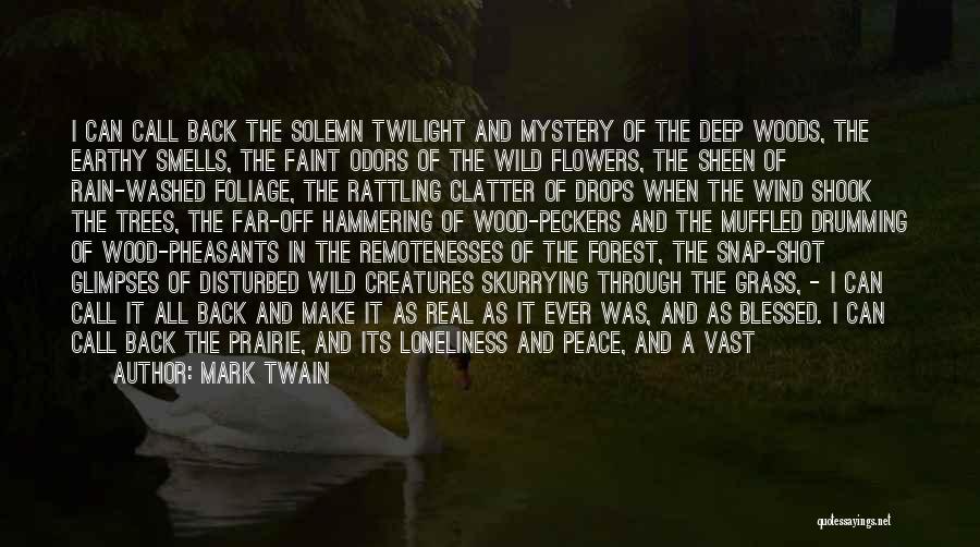 Deep Wood Quotes By Mark Twain