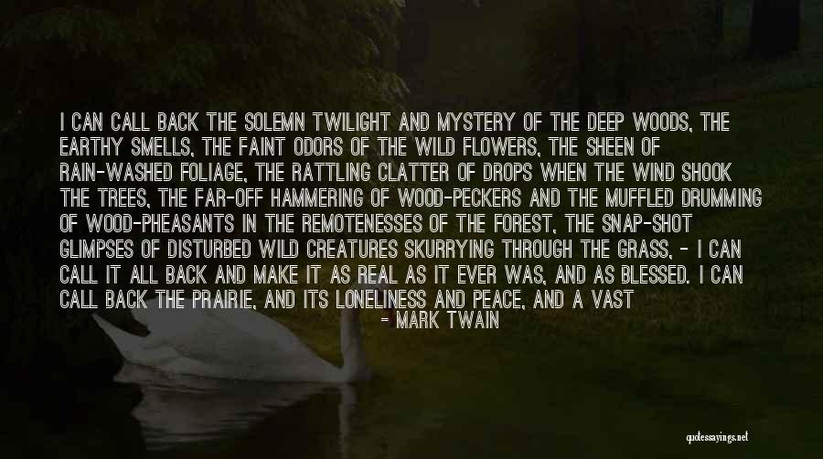 Deep Wood Quotes By Mark Twain