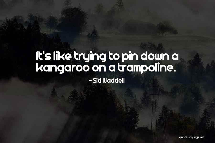 Deepanker Quotes By Sid Waddell Deepanker Quotes By Sid Waddell