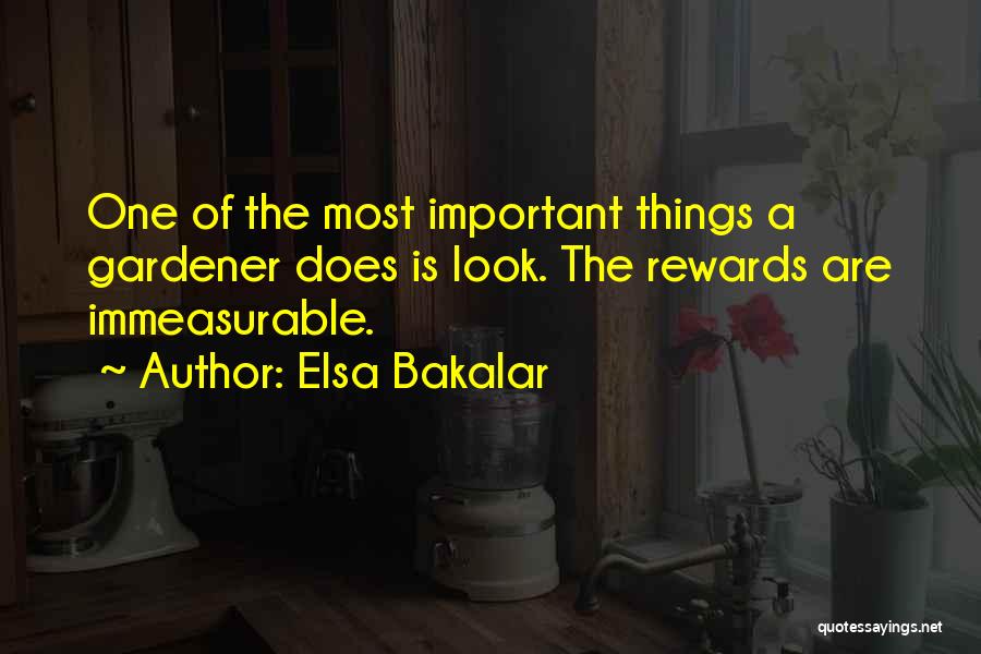 Deependra Budhathoki Quotes By Elsa Bakalar