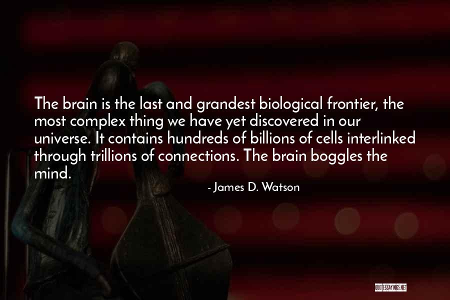 Deepened Impulse Quotes By James D. Watson