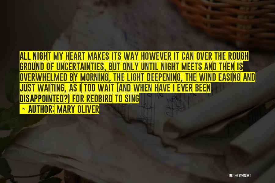 Deepening Quotes By Mary Oliver